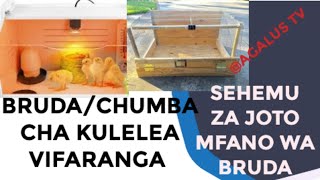 BRUDA BORA/CHUMBA CHA VIFARANGA