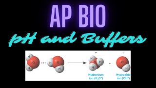 AP Bio: pH &amp; Buffers