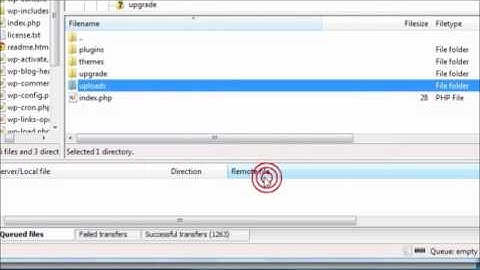 How to upload and format images using the media manager