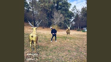 Ficci (feat. HXGO & Yunsiin)