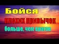 Бойся плохих привычек больше, чем врагов - Пестов Н Е.