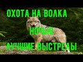 НОЧНАЯ ОХОТА НА ВОЛКА" Подборка Лучших Выстрелов Сезона 2020 -2021"