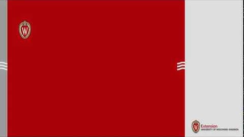 Creating Your Own Zoom Basic Account