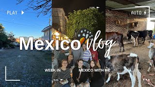 a week in my life in MEXICO 🇲🇽