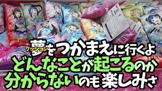 夢をつかまえに行くよ どんなことが起こるのかわからない（確率機）のも楽しみさ【UFOキャッチャー｜ラブライブ！サンシャイン！！｜マスコットクリーナー】