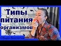 Типы питания организмов.