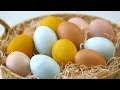 Make naturallydyed easter eggs