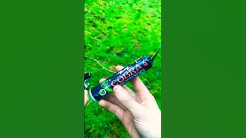 SUPER COBRA 6 in the forest 🌳#outdoors #forest