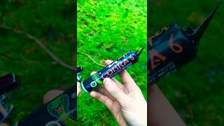 Super Cobra 6 In The Forest