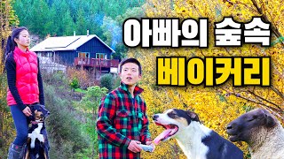 [힐링영상🌹] 귀촌한 한인가족의 따뜻한 가을 일상입니다 I Autumn Daily Life of Korean Kiwi Family In NZ