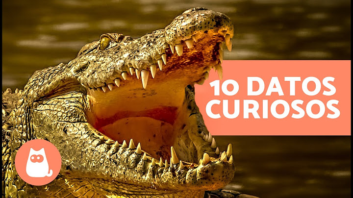 10 CURIOSIDADES sobre los COCODRILOS 🐊 | ¿Tragan piedras? ¿Regeneran sus dientes?
