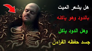 هل يشعر الميت بالدود وهو يأكله؟ سرّ مظلم يكشف حقيقة عذاب القبر