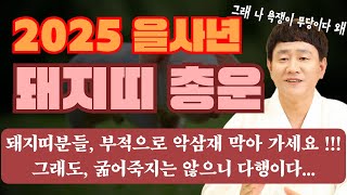 ✨2025 을사년 돼지띠 총 운세✨ㅣ부적으로 다가오는 악삼재 막아서 가세요!!!ㅣ그래도, 굶어 죽지는 않는 …