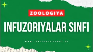 5-Mavzu: Infuzoriyalar va sporalilar sinflari