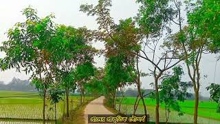 গ্রামের রাস্তা ঘাটের দৃশ্য। আমাদের গ্রামের অসাধারণ কিছু মুহুর্ত। #গ্রামের_প্রাকৃতিক_সৌন্দর্য