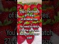 Behind the Scenes: 27 Strawberry Layer Cake Part 1