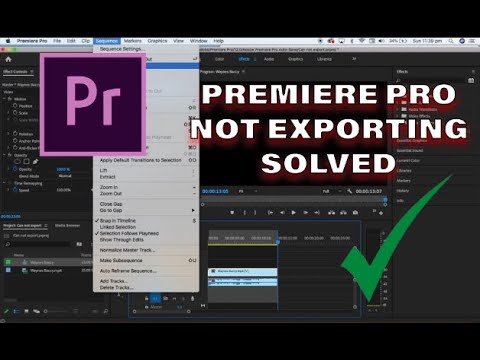Premiere Pro not Exporting (SOLVED) 2020