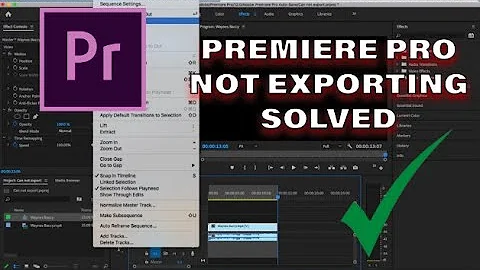 Premiere Pro not Exporting (SOLVED) 2020