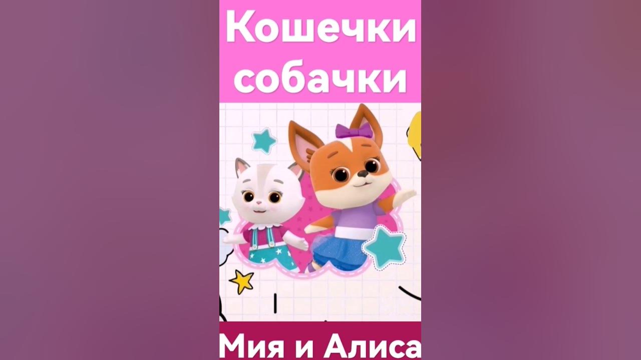 кошечки собачки Мия и Алиса - YouTube