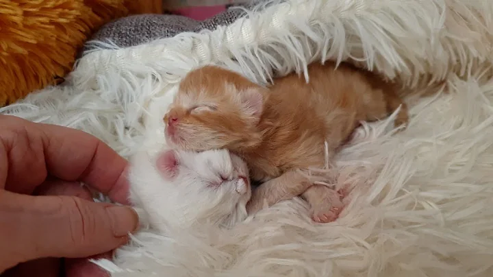 Watch the video about First Moments