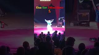 Elsa Dilber Dans Show