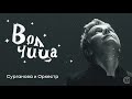 Сурганова и оркестр - Волчица (сингл, 09.04.2021)