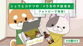 シュウとコテツ「#うちの子記念日をお祝い編」