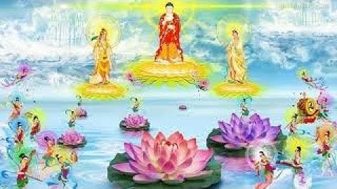 Câu chuyện có thật 100% Tây Phương Cực Lạc Là Cảnh Giới Vô Vi Niết Bàn rất hay