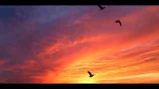 The Once And Future Nerd Toafn Minisode 003 The Lullaby By Anya Gibian, Music Video Cclyrics