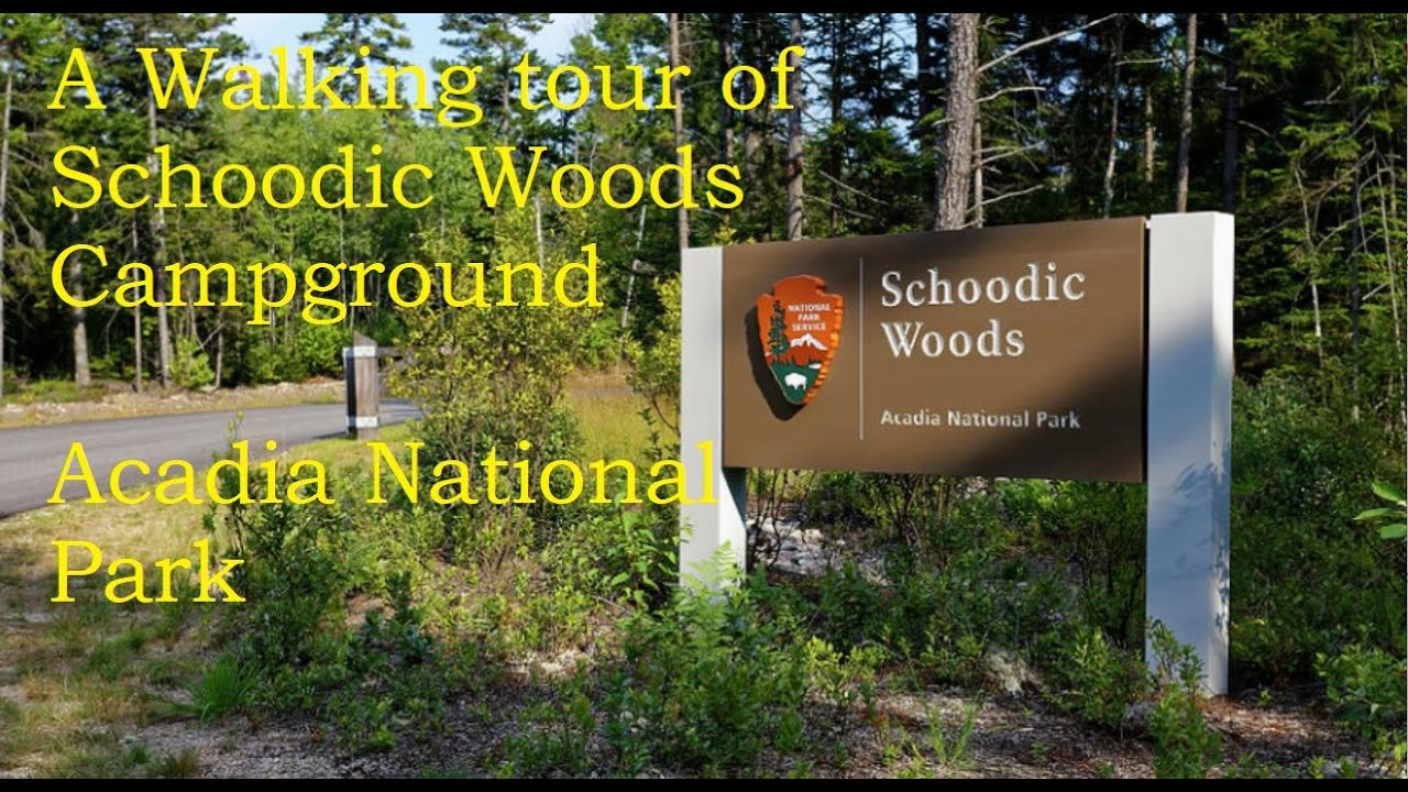 Schoodic Woods Campground at Acadia National Park YouTube