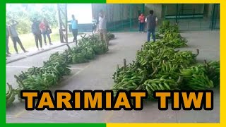 ASOCIACION TARIMIAT - PRODUCCION DE PLATANO