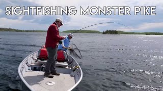 Sight Fishing Monster Pike &  Lake Trout On A Fly | Scott Lake