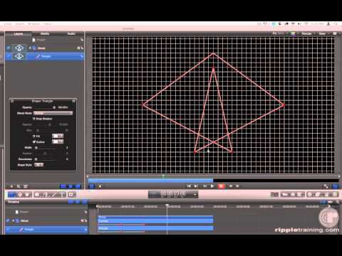 Morphing Shapes in Motion 5