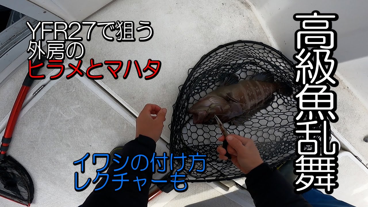 マイボートyfr27で狙う外房の高級魚 ヒラメとマハタ 初心者向けイワシの付け方レクチャーも Youtube