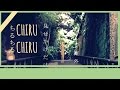 【Rainych】 『ChiruChiru ちるちる』 【歌ってみた】