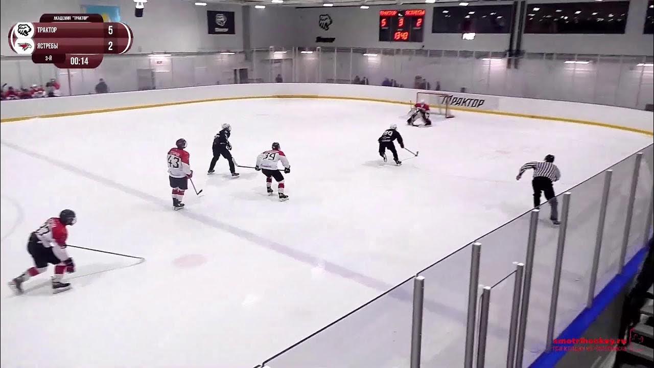 Ястребы 2004. Ястребы 2004