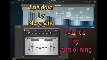 Speldosa - Wintergaten Music Box & Mantis BBD Delay - Two New Apps - Walkthrough & Demo for the iPad