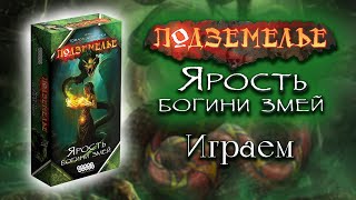 Подземелье: Ярость Богини Змей - Играем