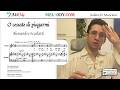O cessate di piagarmi: Translation, Pronunciation, Analysis