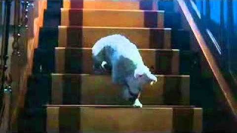 The Adventures of Tintin (Official Trailer 2)