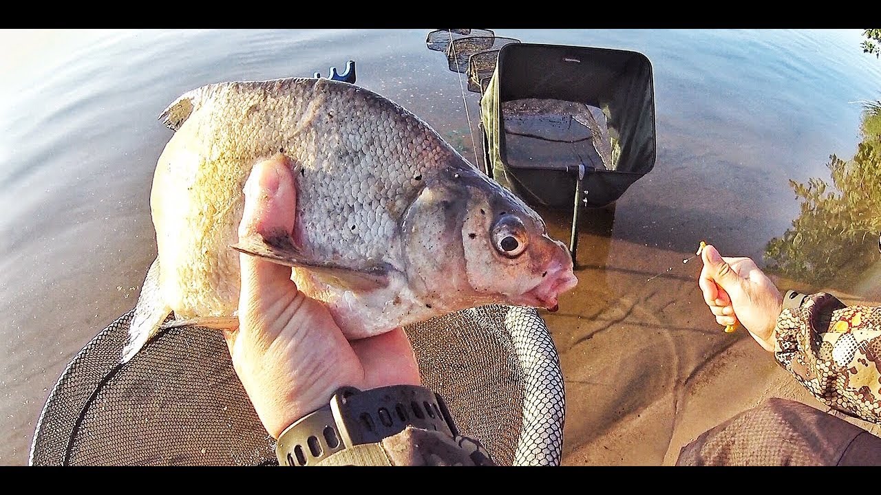 видео с рыбалки на селигере