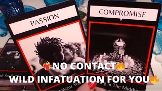 ❤‍NO CONTACTA WILD INFATUATION FOR YOUFINDING A COMPROMISE NO CONTACT COLLECTIVE LOVE TAROT ✨