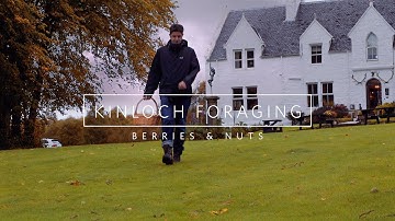 KINLOCH FORAGING - BERRIES & NUTS