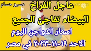 اسعار الفراخ البيضاء اليوم اسعار الدواجن اليوم الاحد ١٩-١١-٢٠٢٣ في مصر