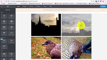 Elements and Principles Portfolio Weebly