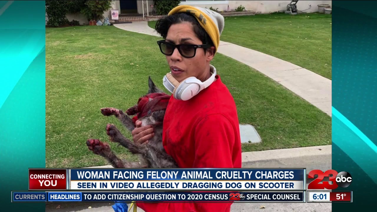 Woman facing felony animal cruelty charges - YouTube