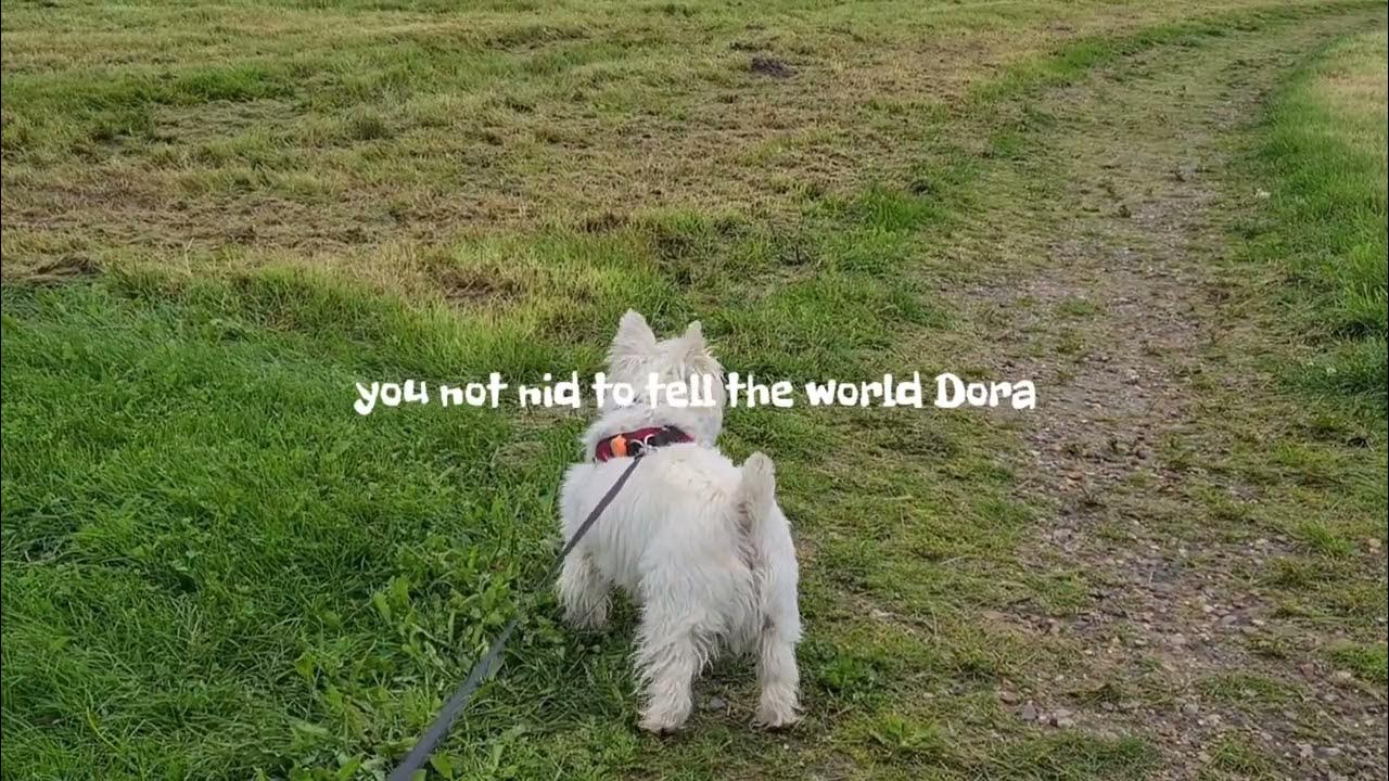 I Take My Dog Out While Its Raining YouTube i-take-my-dog-out-while-its-raining-youtube