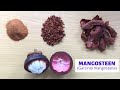 Mangosteen Rind Preservation Quiz