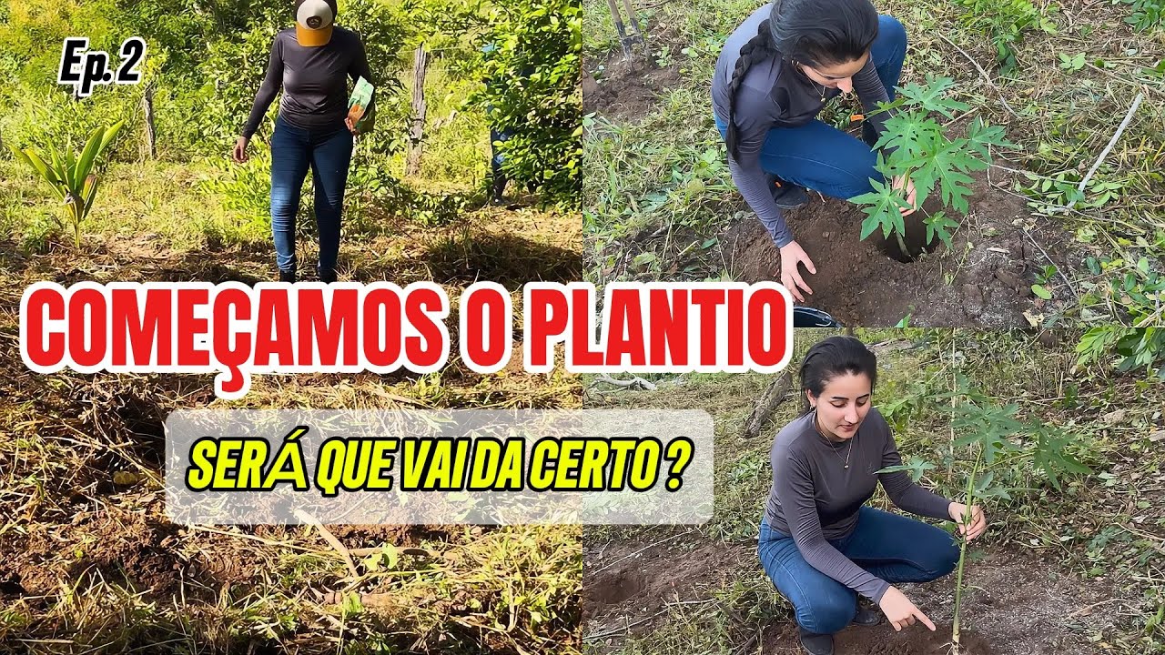 RECONSTRUINDO O SÍTIO DO ZERO ( parte 2)