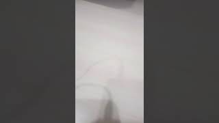 Секси сборка Секси сборка